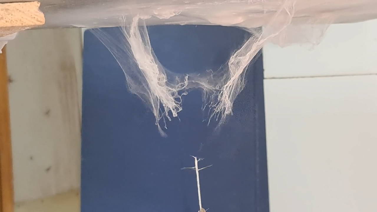 Electrospinning: Solutions of Polystyrene and Polyvinylidene Difluoride in Dimethylformamide
